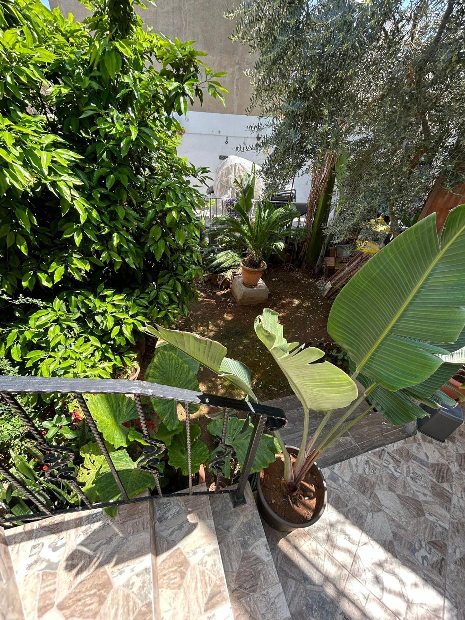 Magic Moon Guest House Famagusta  Zewnętrze zdjęcie